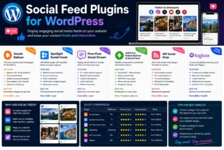 Social Feed Plugins for WordPress